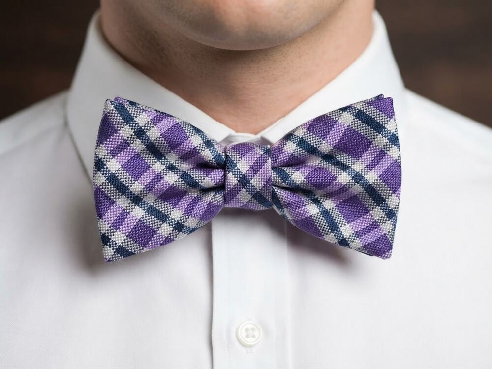 NWT Daniel Cremieux purple blue white plaid silk bow tie